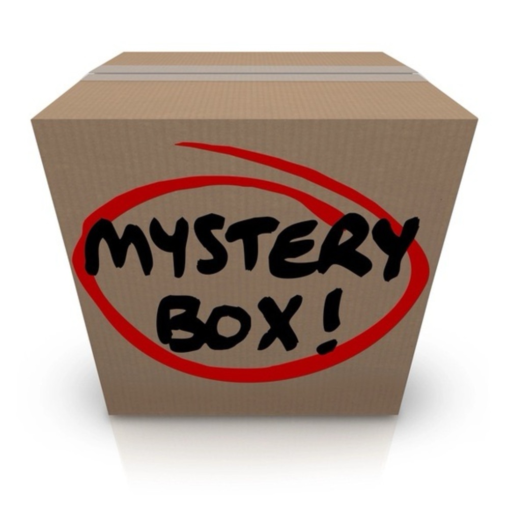 10-pieces minimum Womens Mens Kids Clothing and Shoes Mystery Box